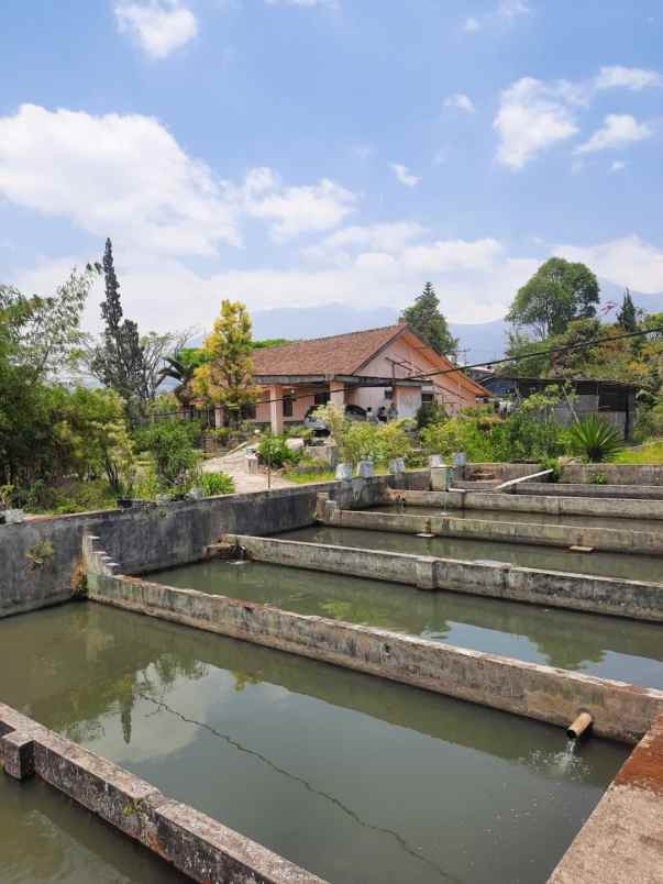 dijual villa jalan raya kebun raya