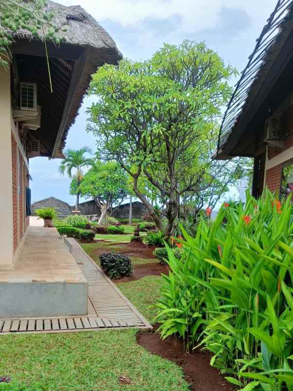 dijual villa jl denpasar singaraja