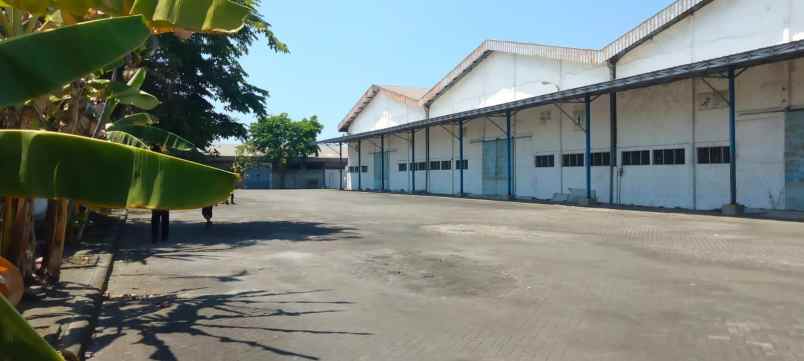 disewakan gudang siap pakai di tambak sawah