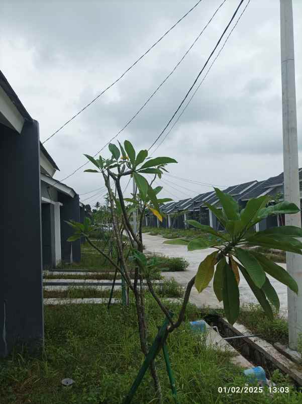 disewakan rumah di pasai barat modernland cilejit