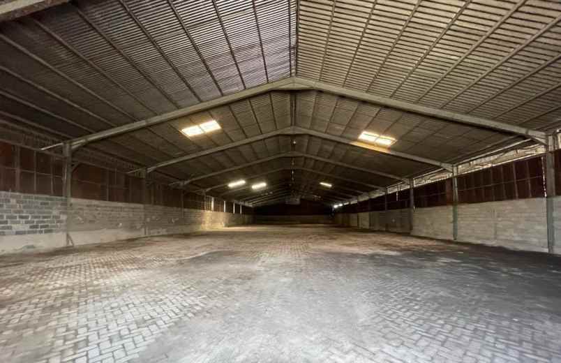 gudang manukan lantai cor loss tanpa sekat