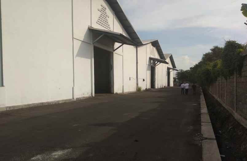 gudang manukan lantai cor loss tanpa sekat