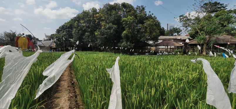 jual cepat tanah karawang barat shm