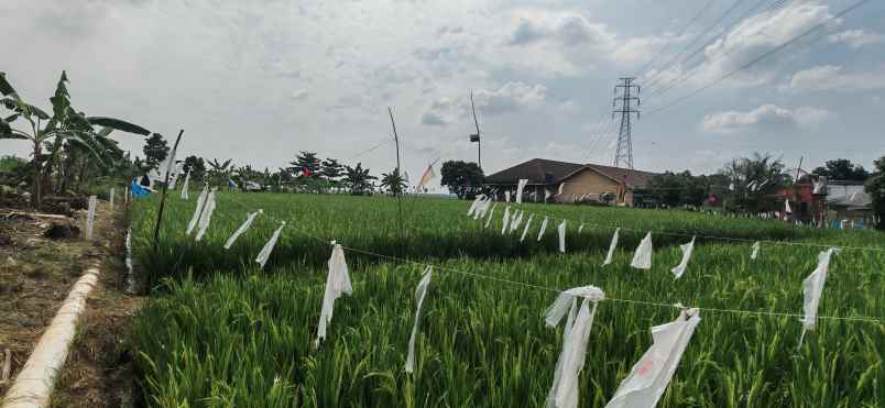 jual cepat tanah karawang barat shm