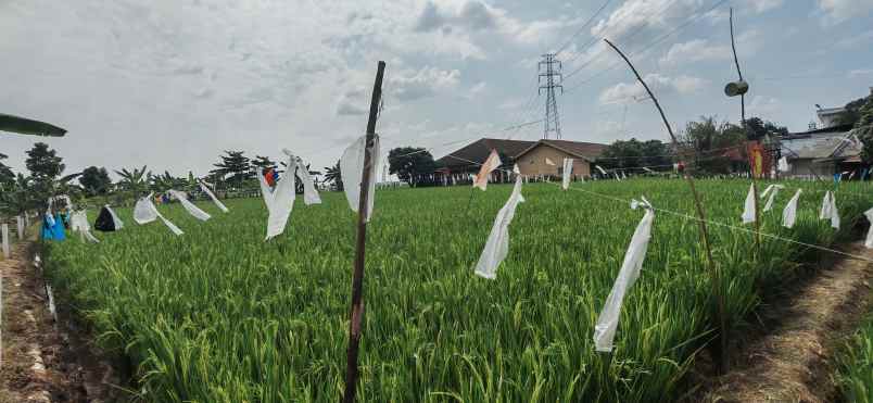 jual cepat tanah karawang barat shm