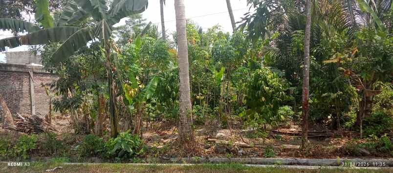 jual cepat tanah sawah