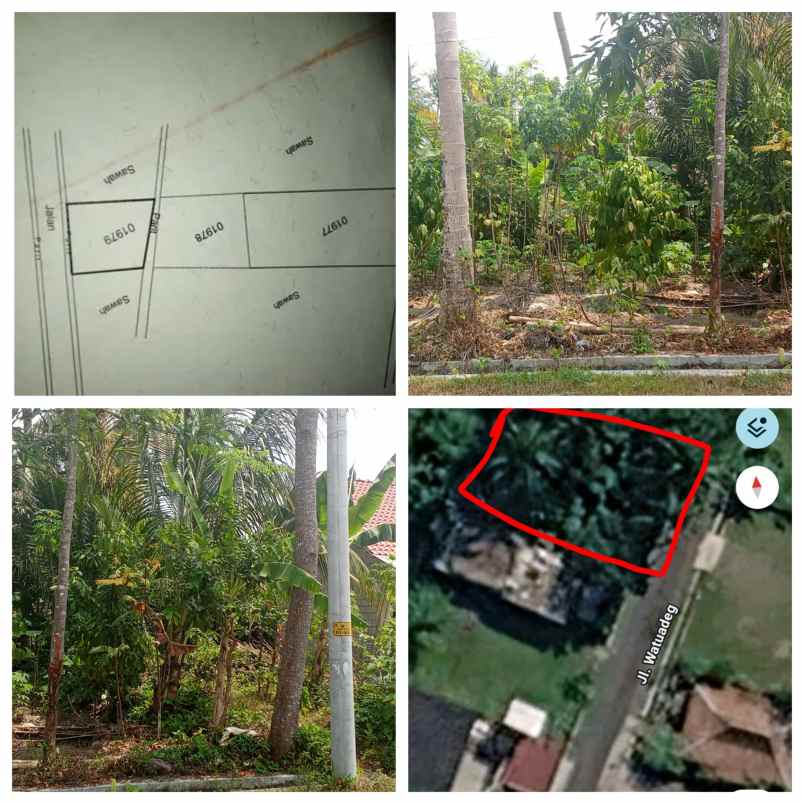 jual cepat tanah sawah