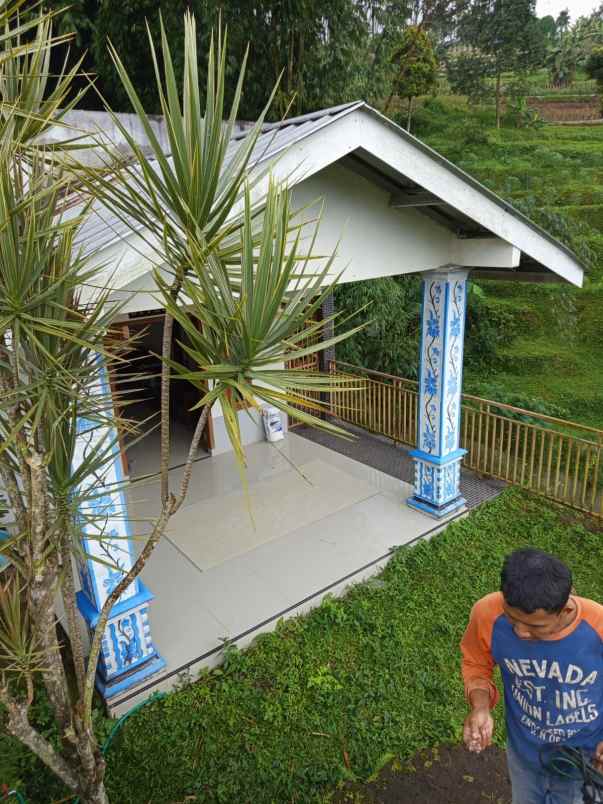 jual rumah hutan dan tanah luas