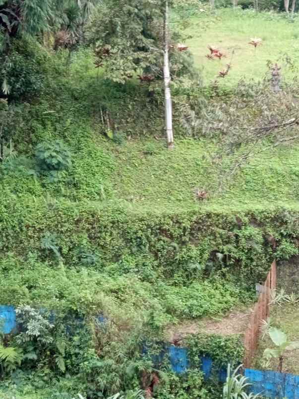 jual rumah hutan dan tanah luas