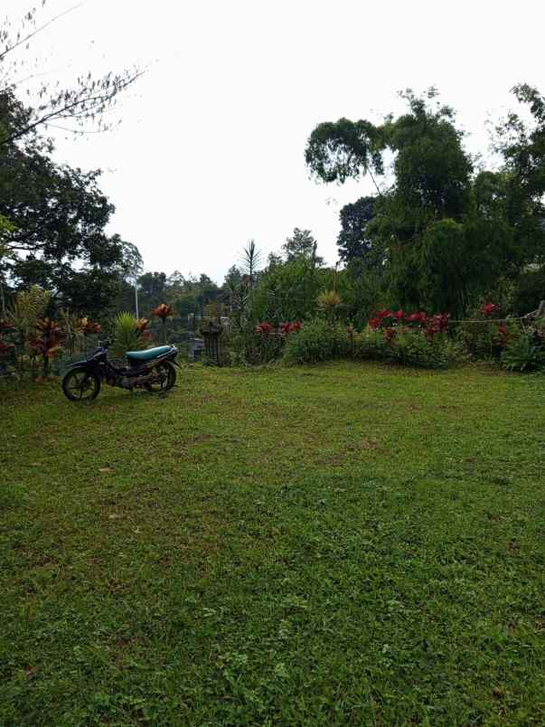 jual rumah hutan dan tanah luas
