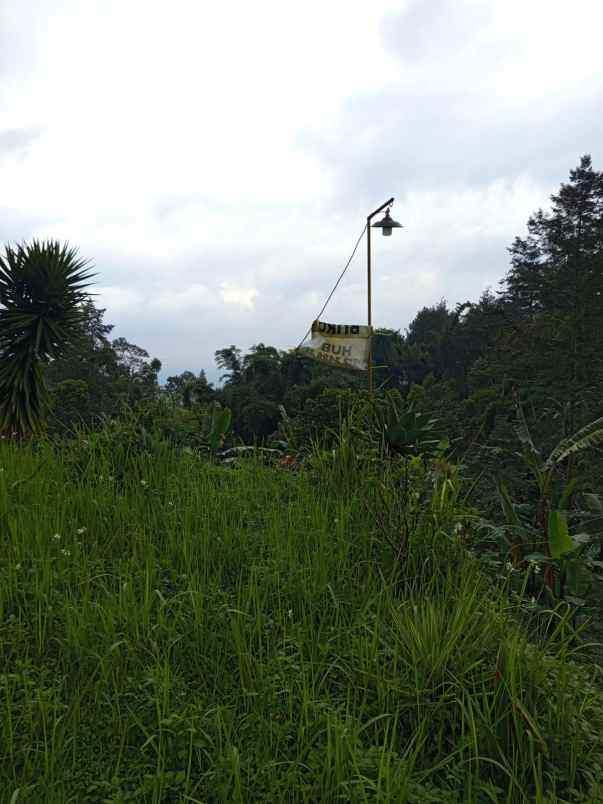 jual rumah hutan dan tanah luas