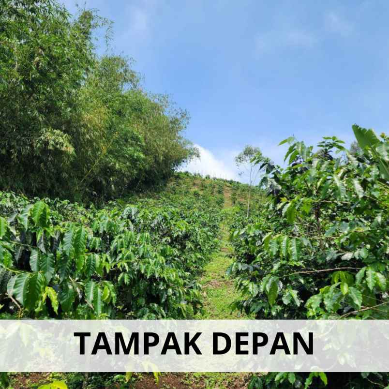 jual tanah murah di ciwidey