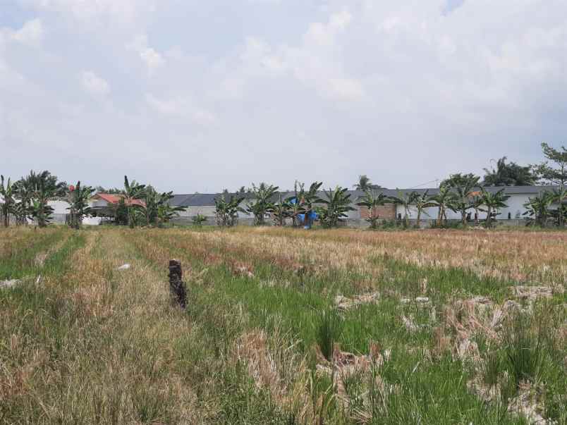 jual tanah shm batang kuis dekat bandara kuala namu