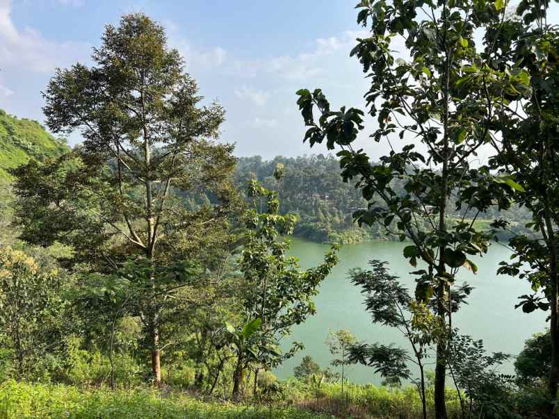 kebun durian 4800m kawasan wisata karanganyar