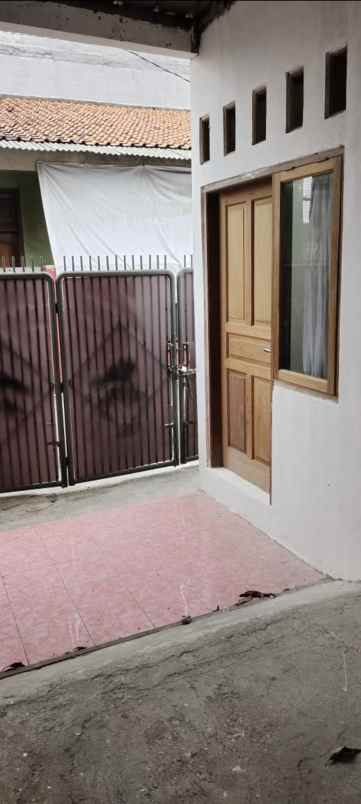 kost wanita free wife