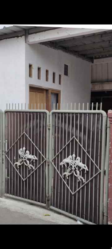 kost wanita free wife