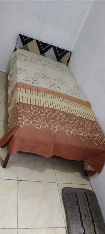 kost wanita free wife