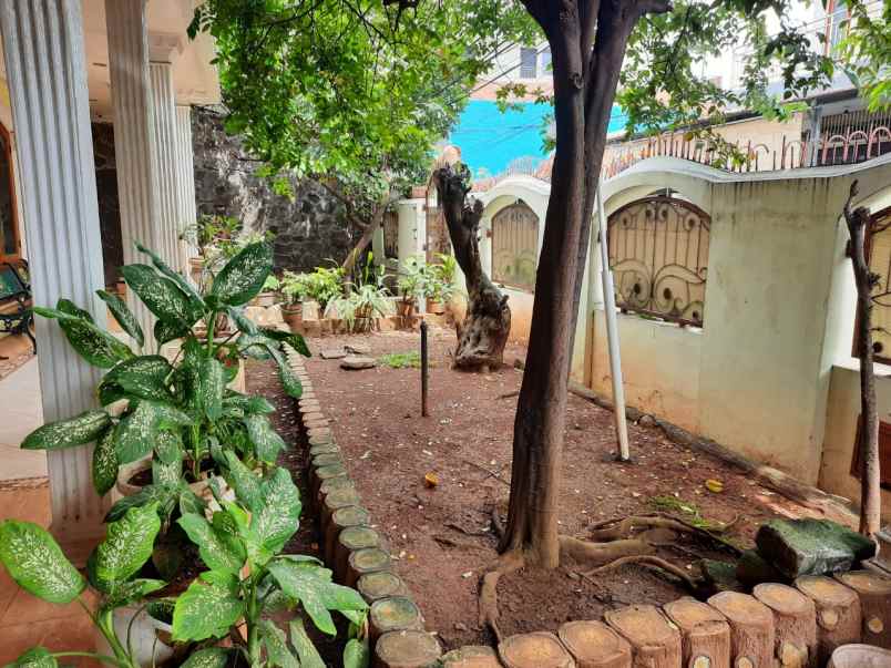 rumah jl skip ujung no 9 rt 005