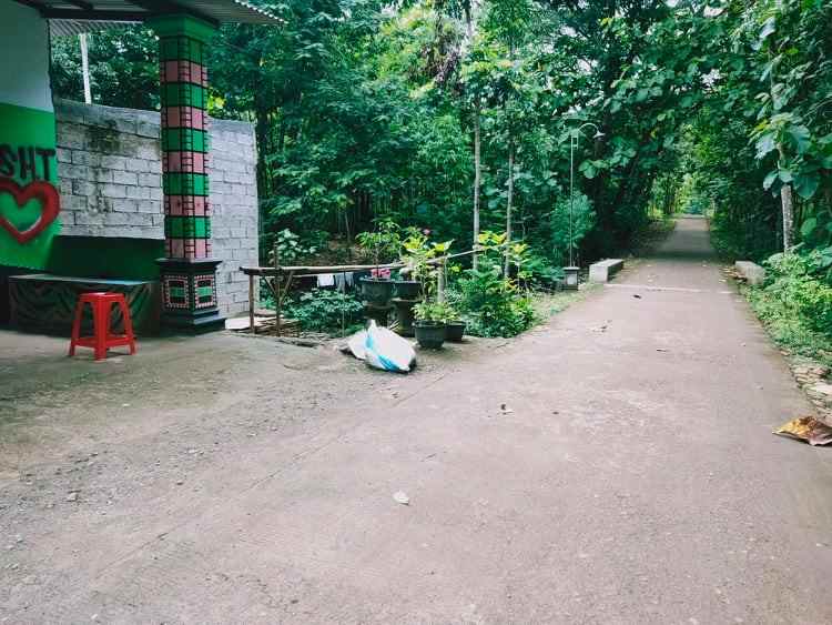 rumah kedawung sragen jawa