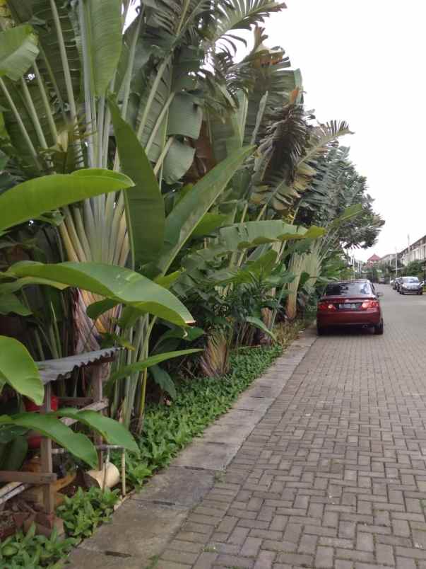 rumah lubang buaya jakarta timur