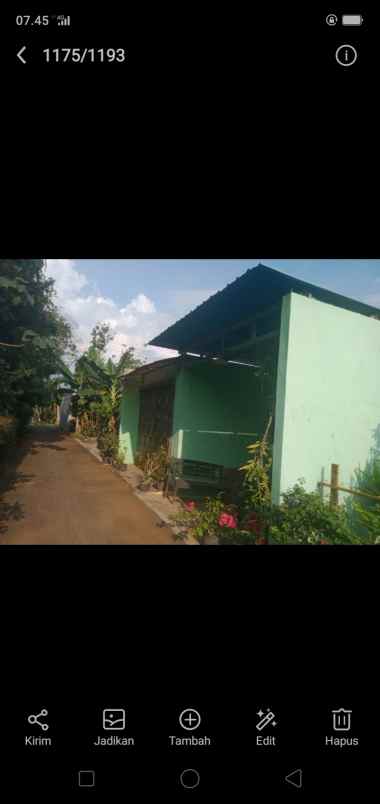 rumah minimalis murah meriah