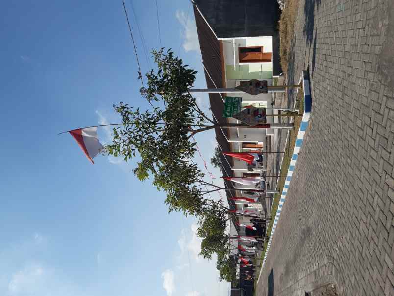 rumah murah masih di lumajang kota