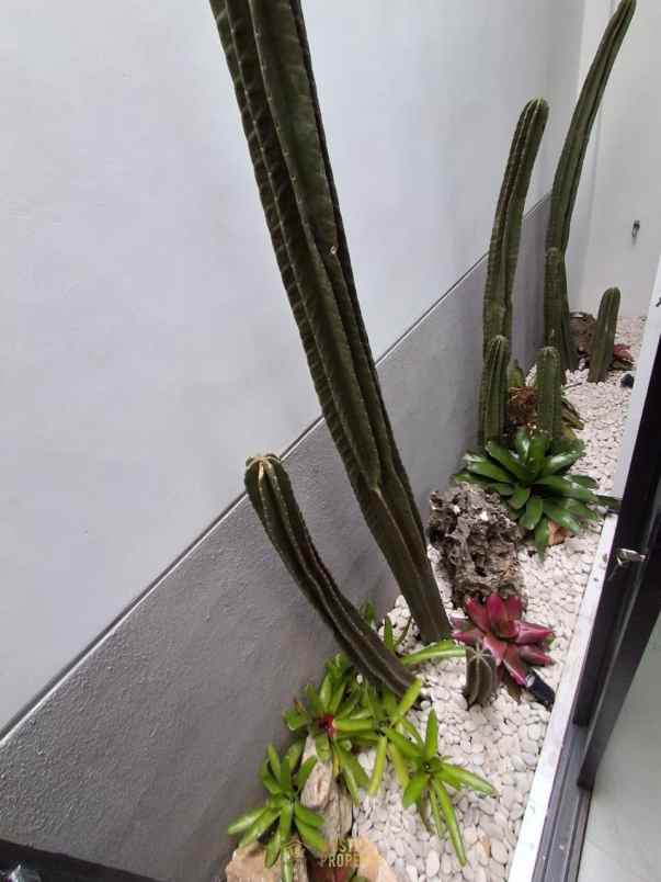 rumah siap huni semi furnished di jogja utara