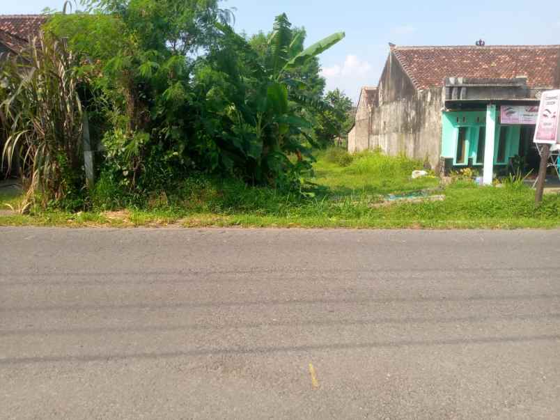 sawah murah mangku jalan kikis perbatasan jogja klaten
