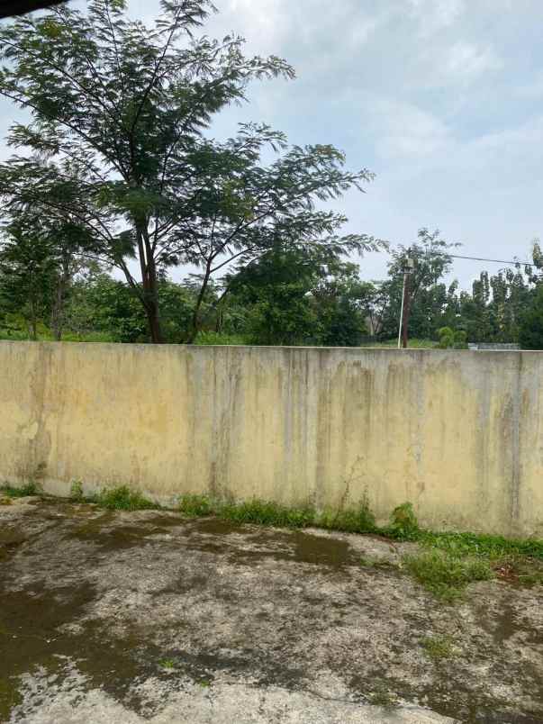 sewa rumah mewah di dalam perumahan daerah mulawarman