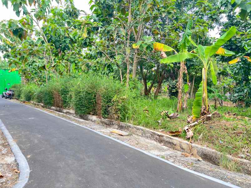 tanah 1000m kawasan strategis karanganyar