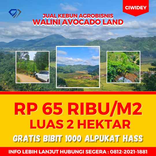 tanah bandung pangalengan