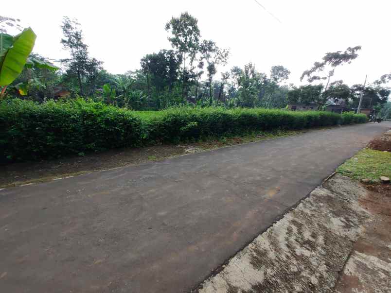 tanah barat pasar mojogedang