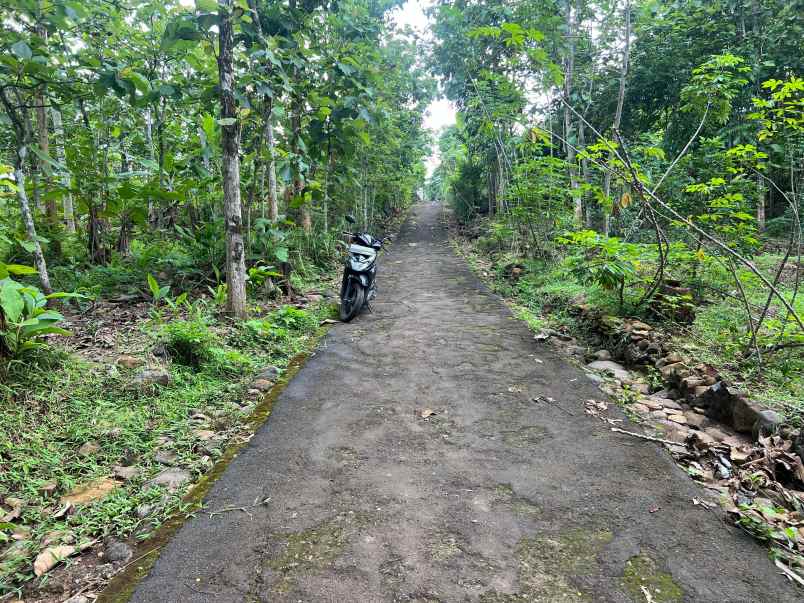 tanah datar 2293m 300 juta karanganyar