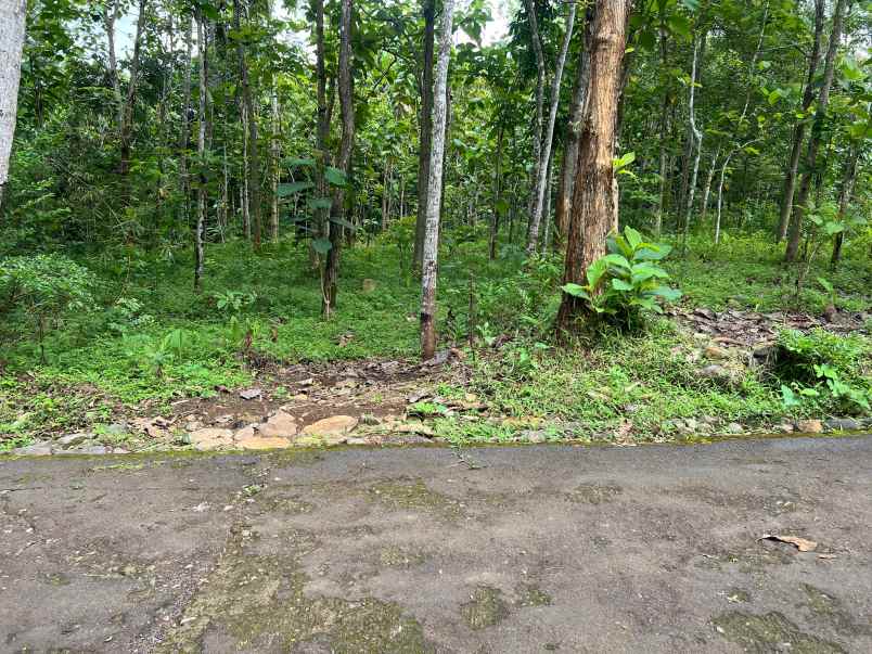 tanah datar 2293m 300 juta karanganyar