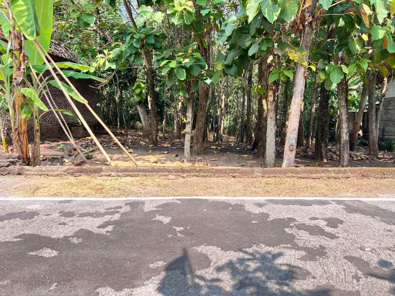 tanah datar 350 juta cocok untuk hunian sragen