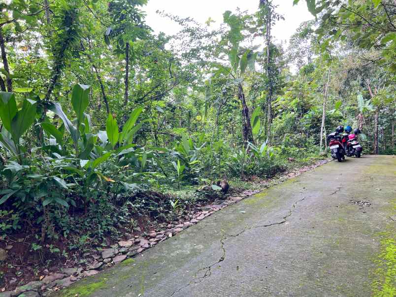 tanah datar utara kantor kecamatan kerjo karanganyar