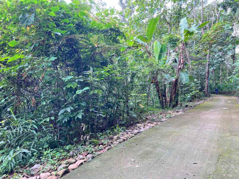 tanah datar utara kantor kecamatan kerjo karanganyar