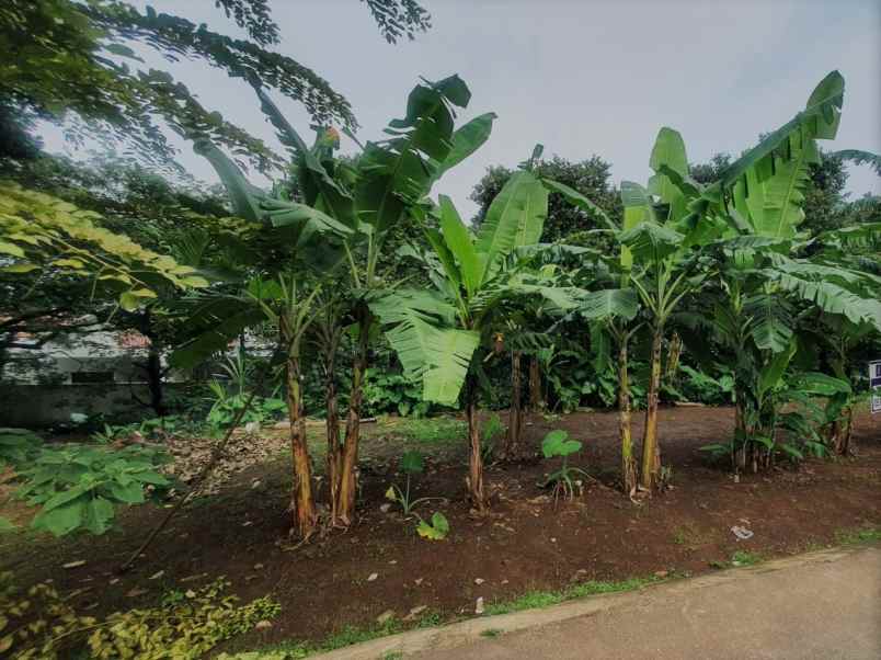 tanah dekat pusat kota depok dengan harga terjangkau