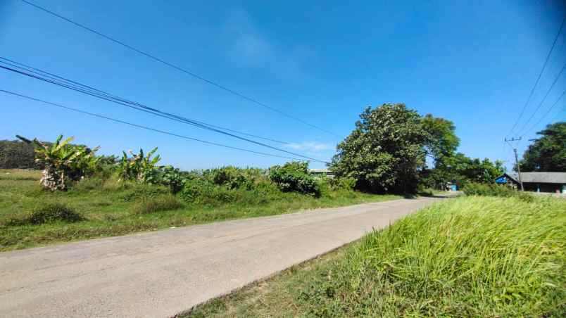 tanah desa kadawung pabuaran