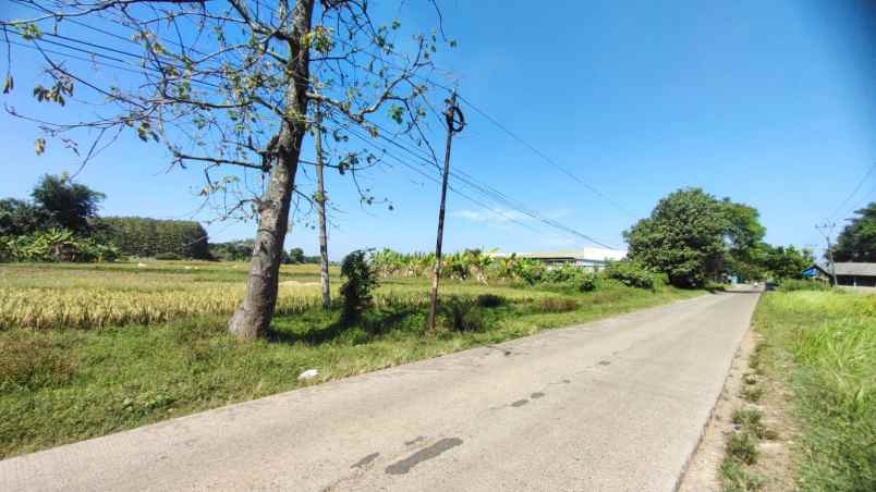 tanah desa kadawung pabuaran