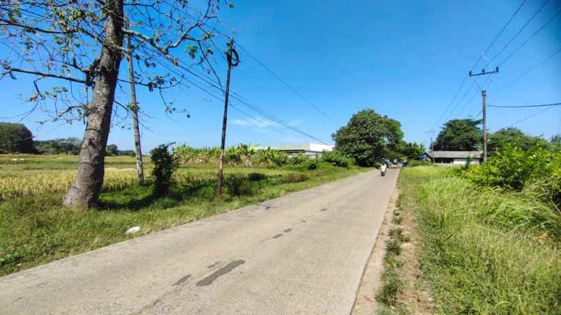 tanah desa kadawung pabuaran