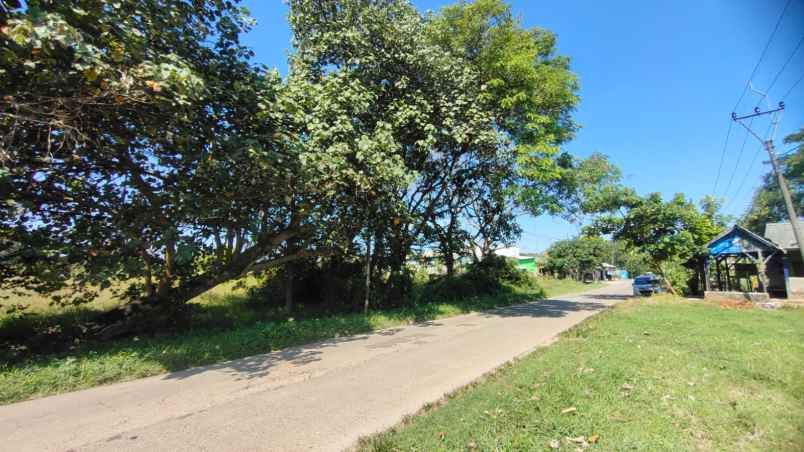 tanah desa kadawung pabuaran