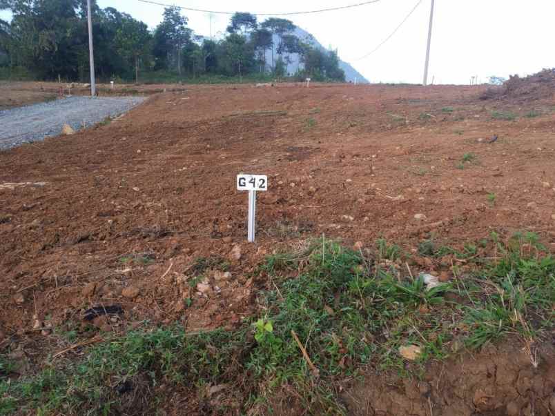 tanah desa sukamulya sukamakmur