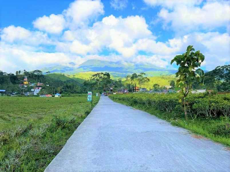 tanah istimewa dekat kebun teh kemuning karanganyar