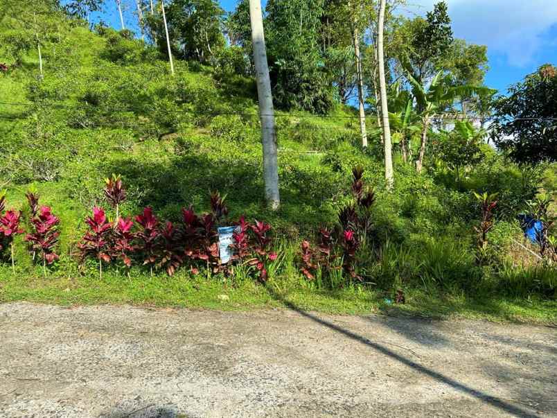 tanah istimewa dekat kebun teh kemuning karanganyar