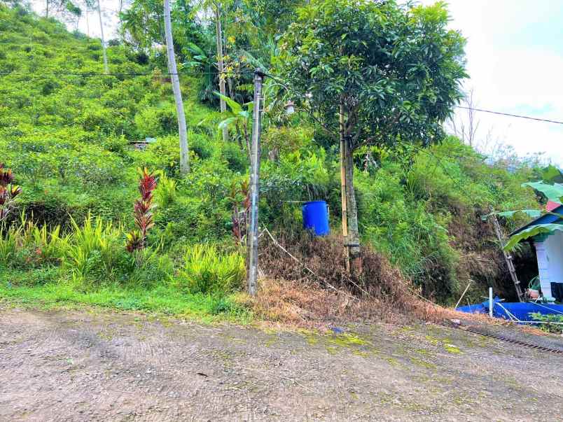 tanah istimewa dekat kebun teh kemuning karanganyar