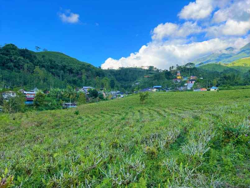 tanah istimewa dekat kebun teh kemuning karanganyar