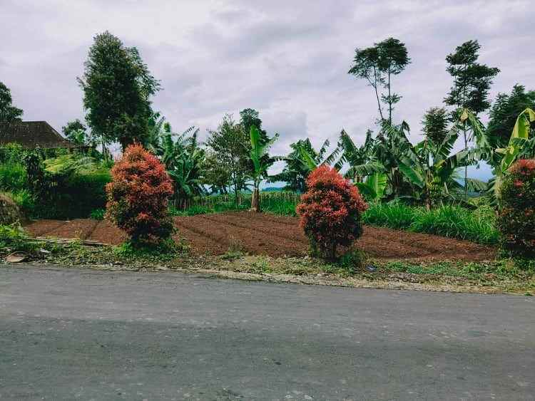 tanah istimewa kemuning ngargoyoso karanganyar