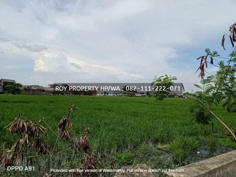 tanah jl maunda makmur segara