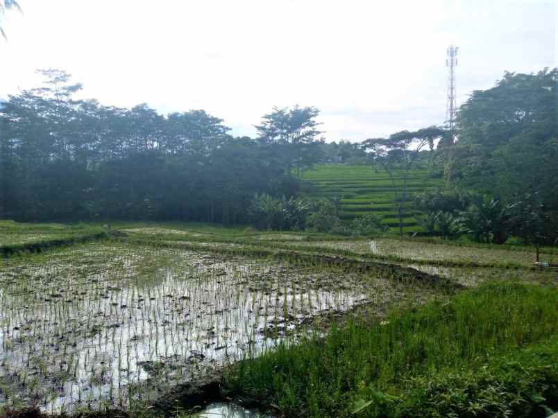 tanah karangpandan karanganyar
